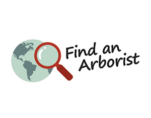 Find an Arborist