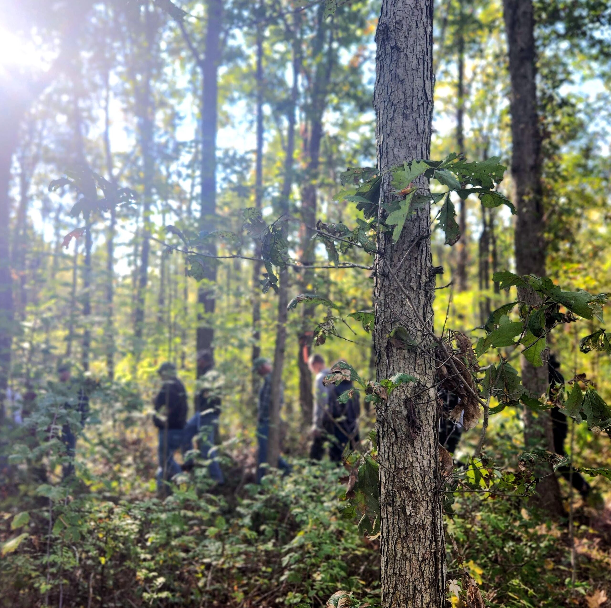 People in a forest learning about natural resources