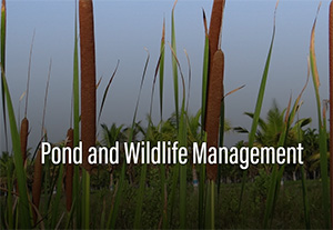 Pond & Wildlife Management, Purdue Extension