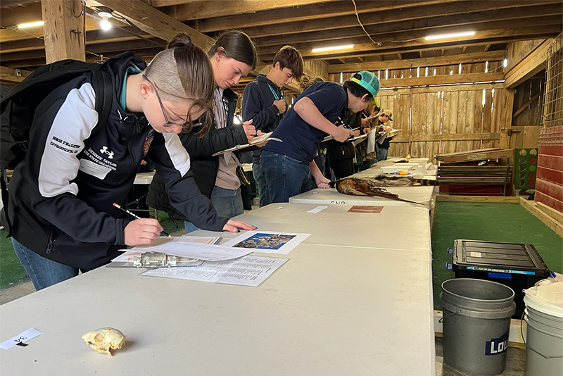 Student wildlife competition