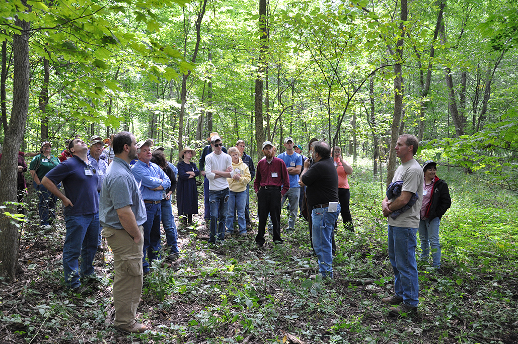 Forest workshop